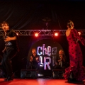 flamenco (67)